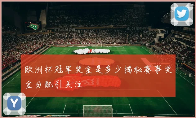 欧洲杯冠军奖金是多少揭秘赛事奖金分配引关注
