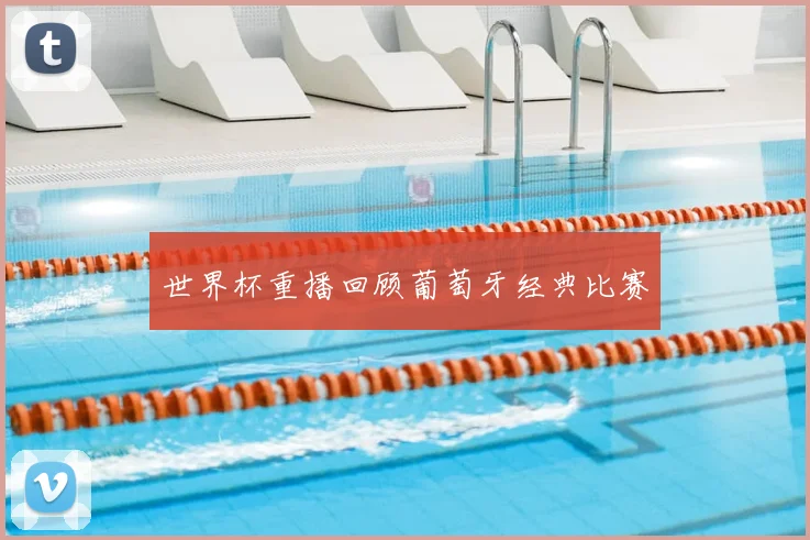 世界杯重播回顾葡萄牙经典比赛