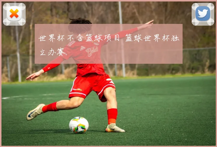 世界杯不含篮球项目 篮球世界杯独立办赛