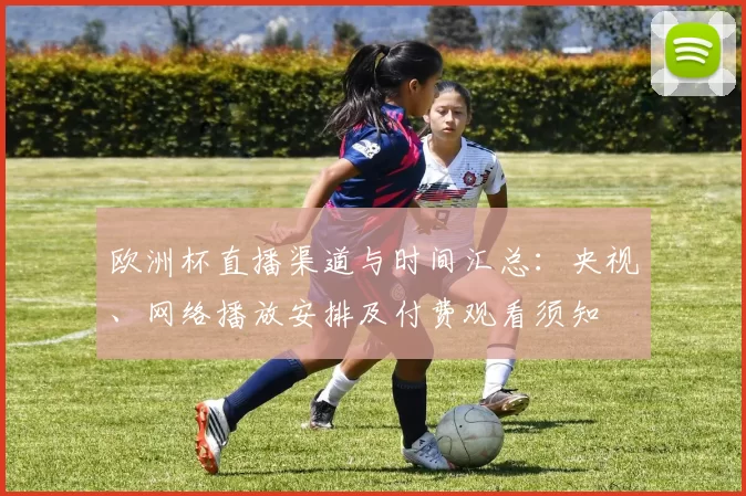 欧洲杯直播渠道与时间汇总：央视、网络播放安排及付费观看须知