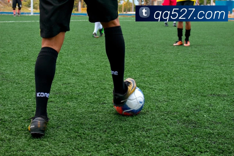 奖项证书
